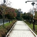 영남5길R | [간월재] 울산 영남알프스 간월산 정상 간월재 등산코스 단풍 억새시기 주차 휴게소 후기