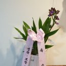 카페그로우