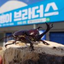 우화농장 이미지