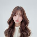 살롱 소냐르