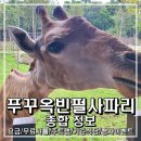 (주)코끼리투어 이미지