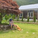 지식인농장 이미지