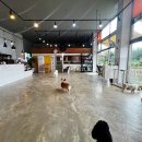 견사무소 애견미용실 이미지