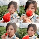 소우농장 이미지