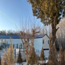 멍하니 | 진주 커피플라워멍하니게스트하우스