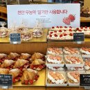 뚜쥬루성정점 네이버블로그