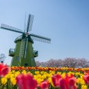 순천만국가정원 이미지