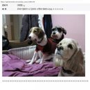 헐