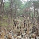 [393차] 4월20일 천주산 산행(두륜산 대체산행) 이미지