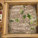 지에스25 광진광장점 | 광나루역맛집, 광장동맛집 <서울편백찜 광장점> 소고기 서울 편백찜, 오징어 초무침 솔직 후기