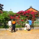 대봉초등학교 이미지