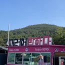 단양패러글라이딩 | modhanni] 단양 패러글라이딩 후기, 패러에 반하다 🪂