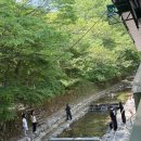 이비가짬뽕 | 대전맛집 ) 동학사 경기식당 더크루즈카페 현충원 이비가짬뽕