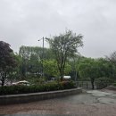 크리스찬상조 (주)