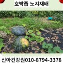 광명탕제원 이미지