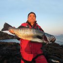 헐크낚시 이미지