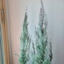 복권목장 이미지