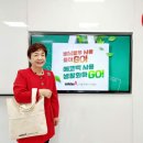 솔리데오 이미지