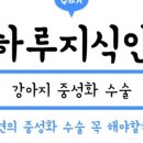 태원동물병원 이미지