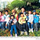 비안도초 이미지