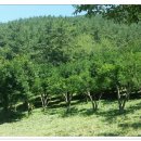 강진호수농장 이미지