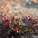 내동네공유주거 이미지