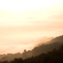 우리한방병원 | 채담한방병원, 솔직한 후기 비교!