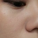 붉은산다화 이미지