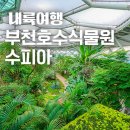 (11/19)프랑스자수 꽃자수 파우치 만들기 | 부천 가볼만한 곳 호수식물원 수피아 후기 (아이와 함께하는 실내 나들이 추천 장소!)