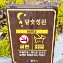 충주 산책하기 좋은 탄금호뷰 수변정원 금가 달숯정원 후기