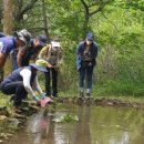 생거진천자연휴양림 이미지