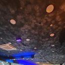 메이져 복싱 이미지