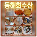 동해수산 | 야탑역맛집 동해회수산 분당횟집 방문 후기