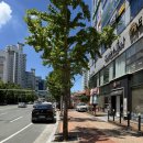 볼지메디 이미지