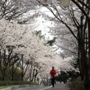 방화근린공원 이미지