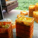 사암농장 이미지