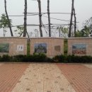 매수리