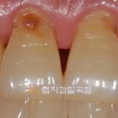 송해코스 이미지