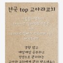 알러뷰점핑