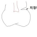 신플란트치과의원 네이버블로그