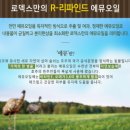 로덱스 - 영덕군 덕곡길 104 | 로덱스