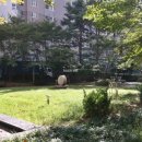 삼성동-25 네이버블로그