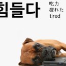 지금