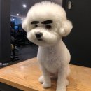 똘이전기