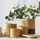 오리엔탈 이미지