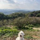 김포가현산캠핑