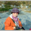 백운행복 이미지