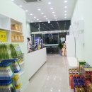 민트약국 이미지