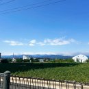 사천진보건진료소 이미지