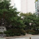 묘향 공인중개사사무소 이미지